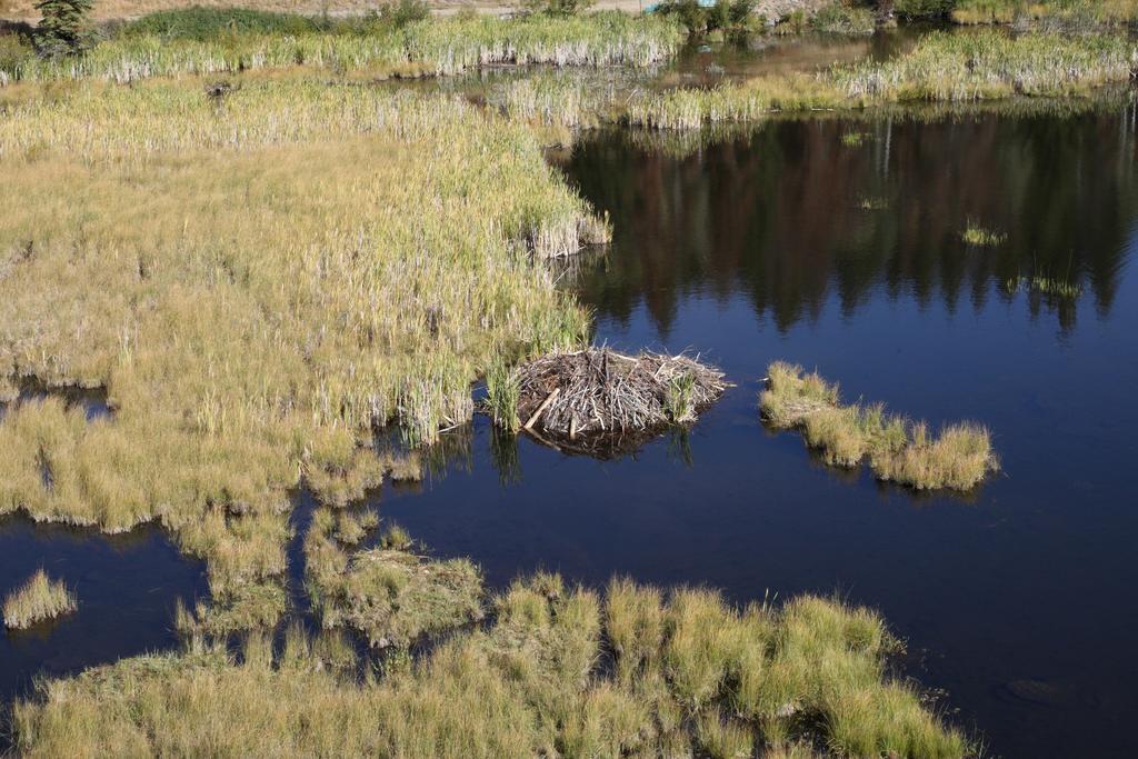 Lac Le Jeune Resort & Nature Centre Kamloops Exteriör bild