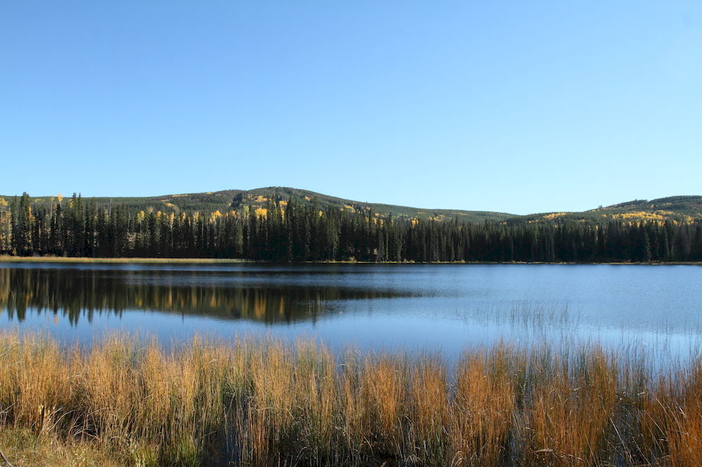 Lac Le Jeune Resort & Nature Centre Kamloops Exteriör bild